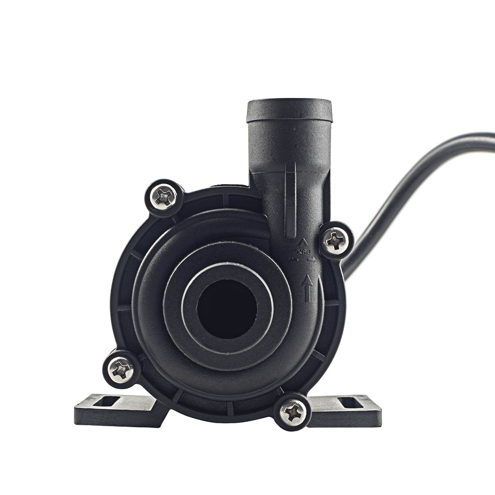 BL30CM Circulation Pumps — Model Options — image 4